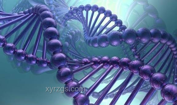 Nature研究揭示：孕期缺铁影响胚胎性别，其意义深远